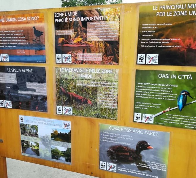 Flora e Fauna delle zone umide (foto di Federico Corato)