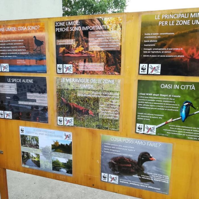 Flora e Fauna delle zone umide (foto di Federico Corato)